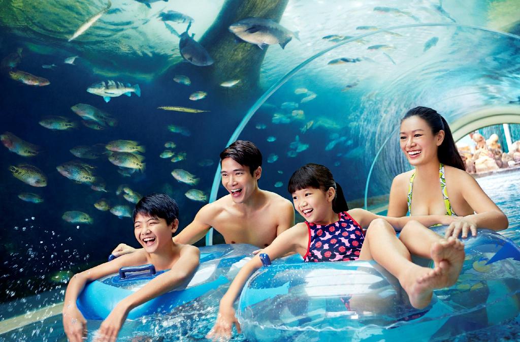 adventure-cove-water-park-1.jpg