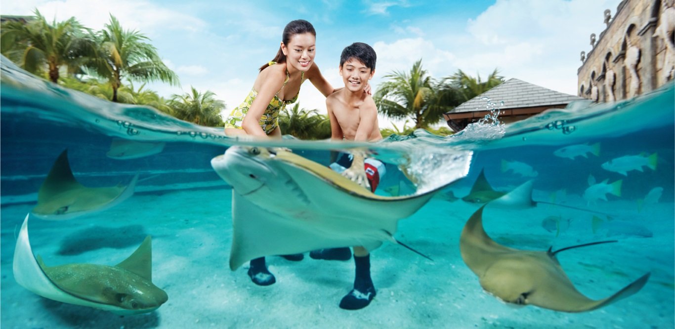 https://club.pnkids.sg/wp-content/uploads/2020/03/adventure-cove-water-park-2-1.jpg