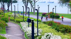 https://club.pnkids.sg/wp-content/uploads/2020/03/east-coast-park-1-.jpeg