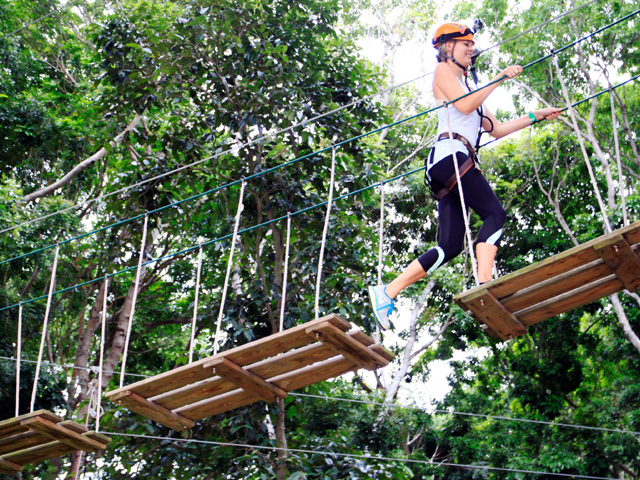 https://club.pnkids.sg/wp-content/uploads/2020/03/forest-adventure-1-.jpg