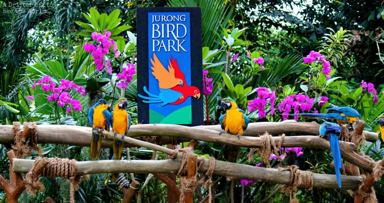 jurong-bird-park-1-1280x679.jpeg