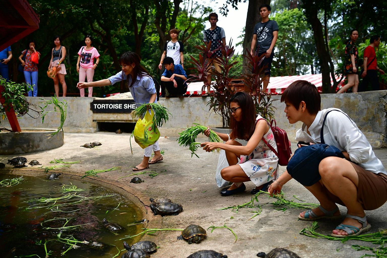 https://club.pnkids.sg/wp-content/uploads/2020/03/kusu-island-4.jpg