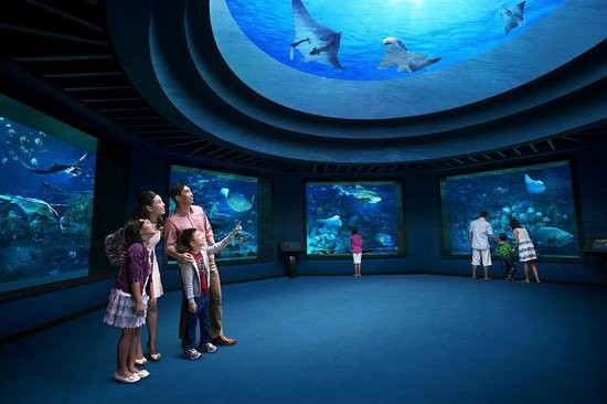 https://club.pnkids.sg/wp-content/uploads/2020/03/sea-aquarium-1.jpg