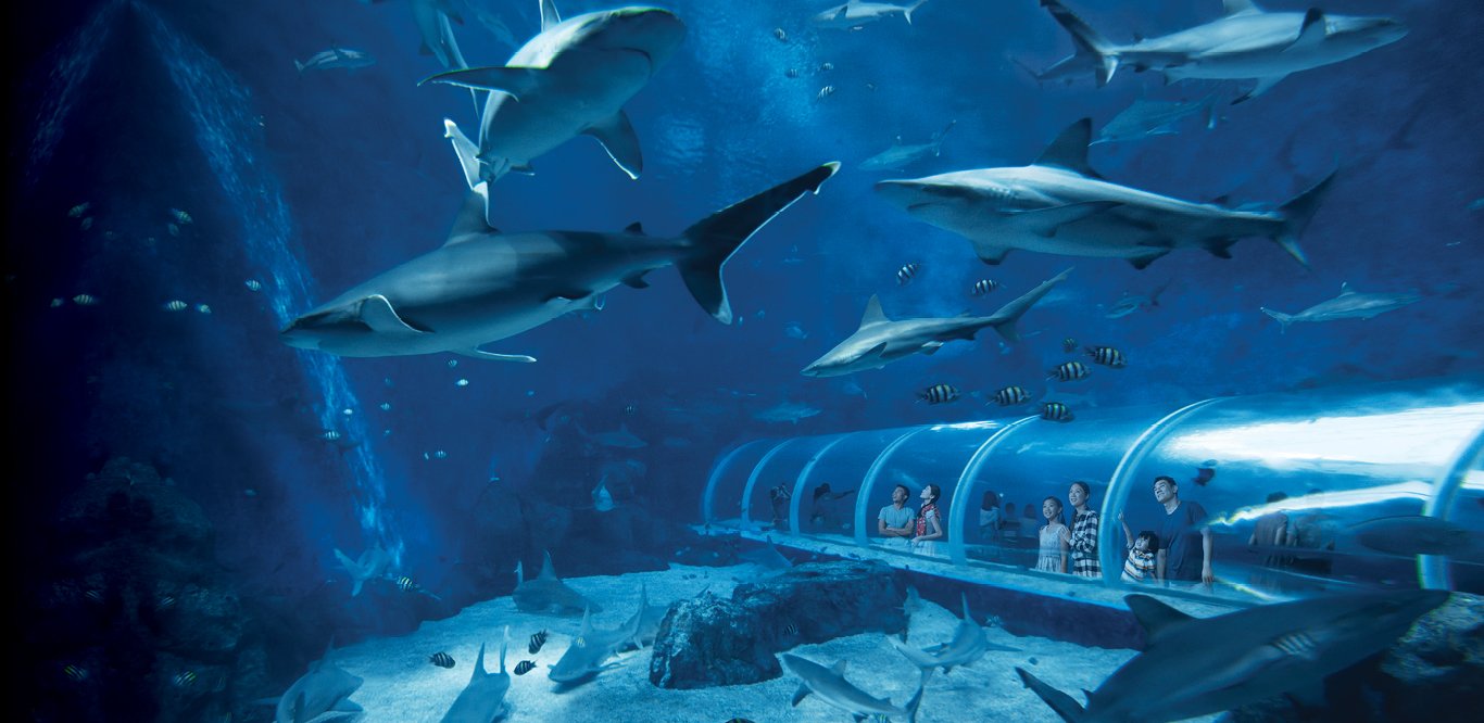 https://club.pnkids.sg/wp-content/uploads/2020/03/sea-aquarium-3.jpg