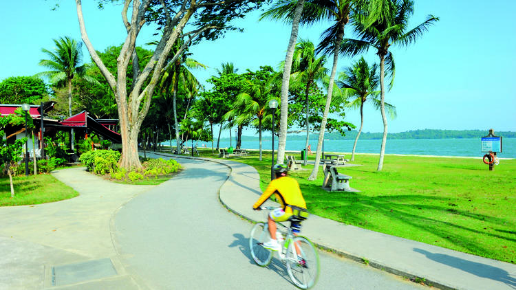https://club.pnkids.sg/wp-content/uploads/2020/03/west-coast-park-2-.jpg
